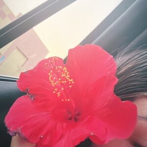 Meet your Posher, Sophia